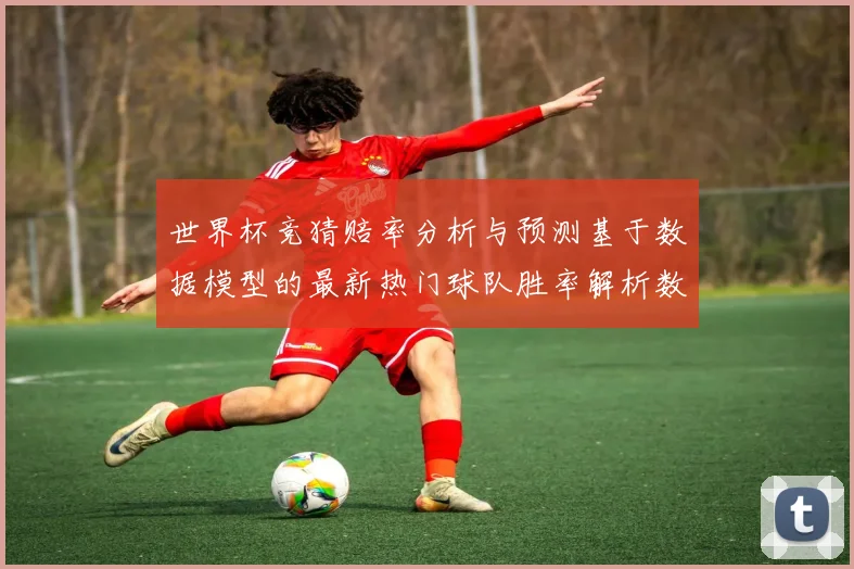 世界杯竞猜赔率分析与预测基于数据模型的最新热门球队胜率解析数据研判