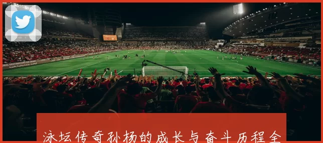 泳坛传奇孙杨的成长与奋斗历程全景解析