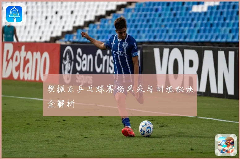 樊振东乒乓球赛场风采与训练秘诀全解析
