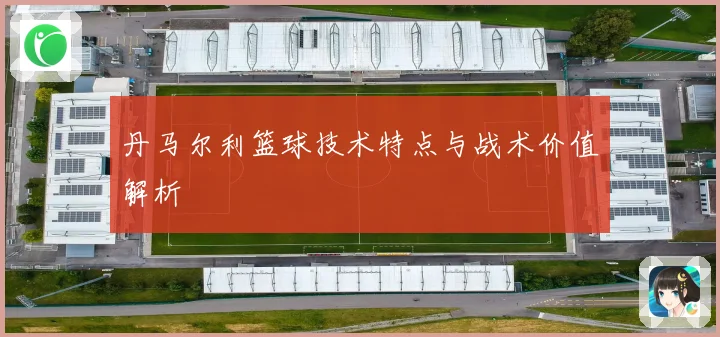丹马尔利篮球技术特点与战术价值解析
