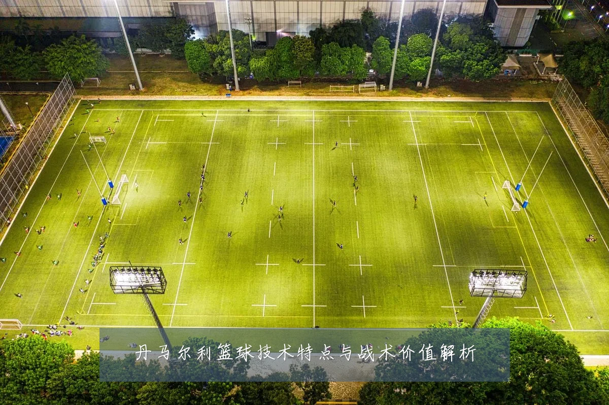 丹马尔利篮球技术特点与战术价值解析